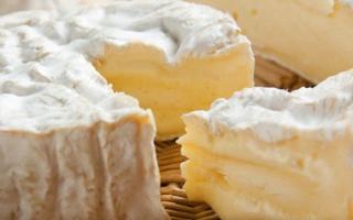 Сыр с плесенью – состав, калорийность, польза и вред